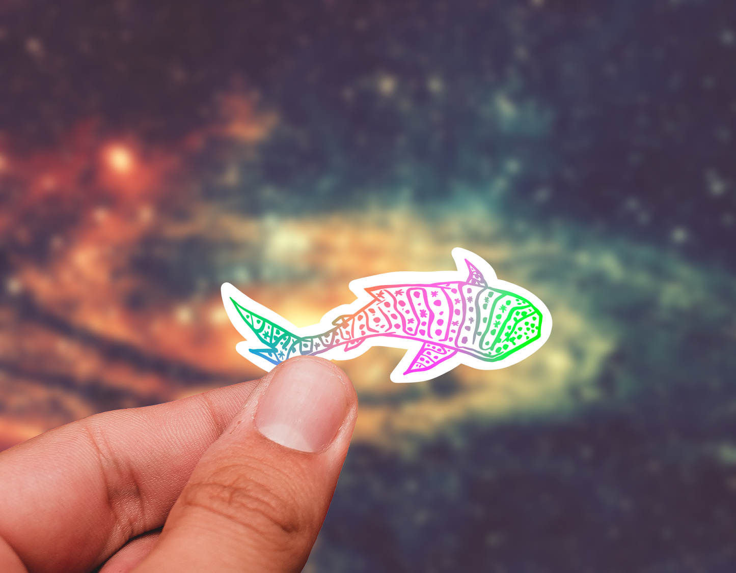 Whale shark scratch sticker